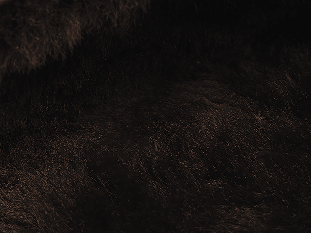 Stride Penny Loafers in Dark Brown Moorland Calf with Shearling Lining