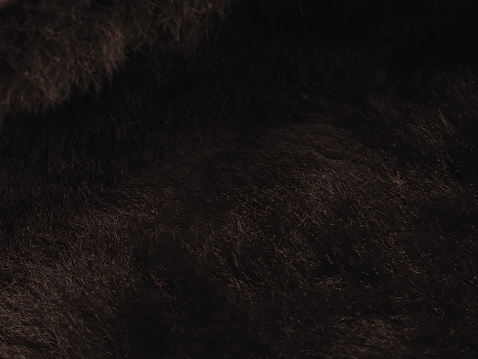 Stride Penny Loafers in Dark Brown Moorland Calf with Shearling Lining