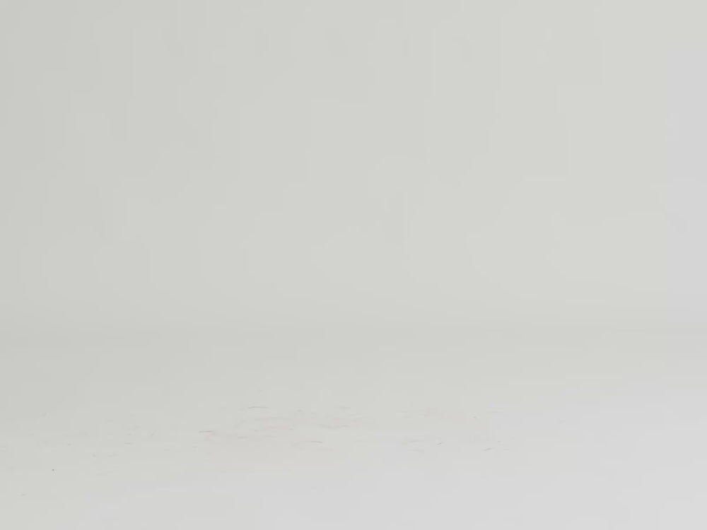 Grand Seine Tassel Loafers in Black Noble Suede